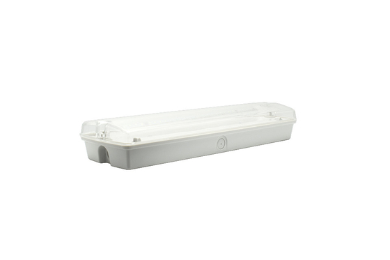 IP65 1.5-3W आपातकालीन एलईडी बल्कड लाइट AC 220V ABS सामग्री